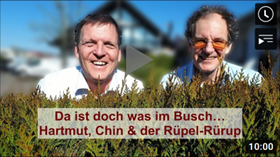 Hartmut Walz